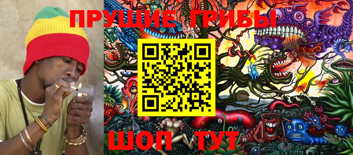 Псилоцибиновые грибы Cubensis  Вход с VPN  Заречный 